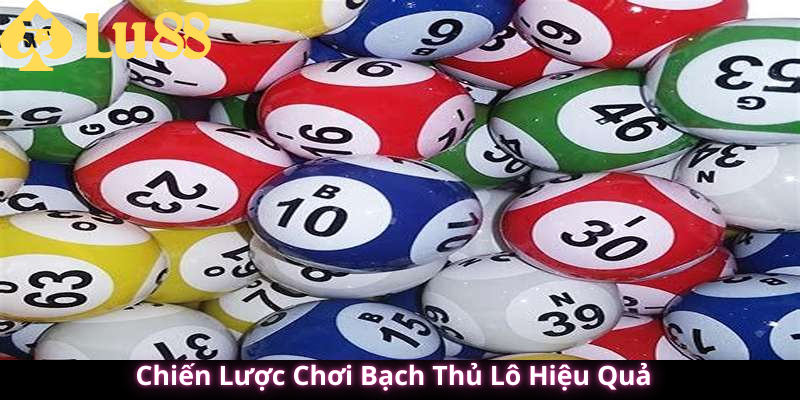 Bạch thủ lô là gì?