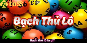 Bạch thủ lô là gì?