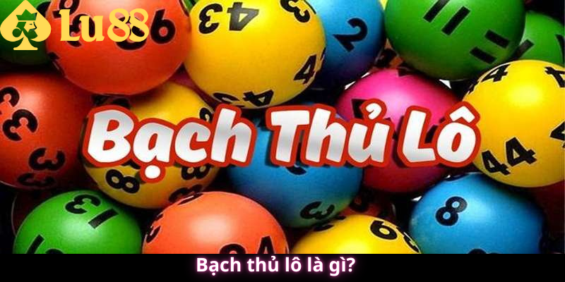 Bạch thủ lô là gì?